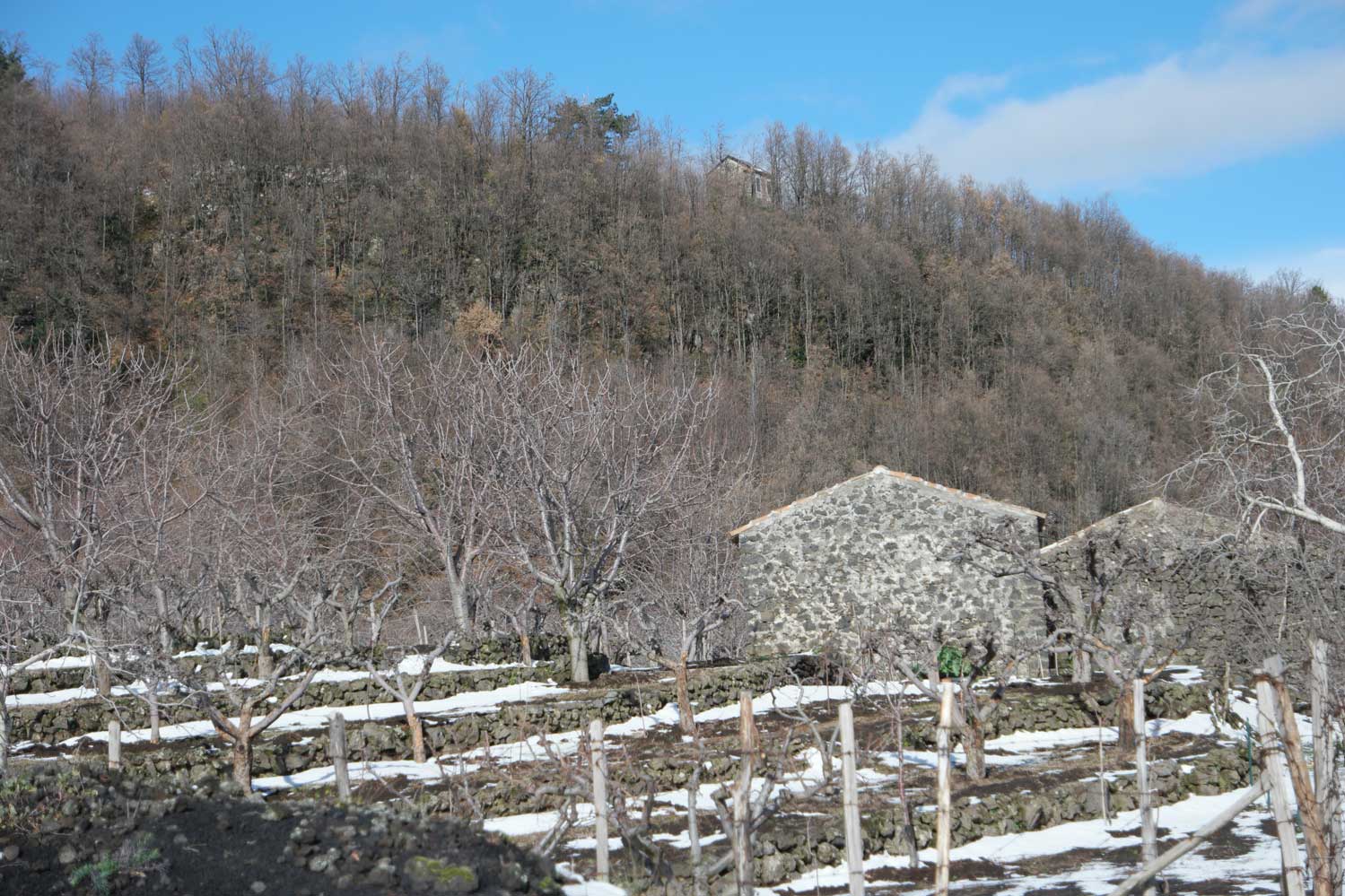 Nido aquila rifugio Etna_3651